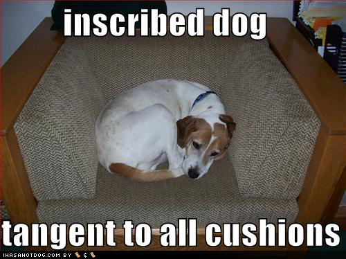 Inscribed dog