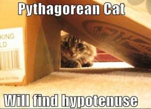 PythagoreanCat